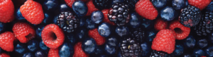 close up image of blackberries, raspberries, blueberries